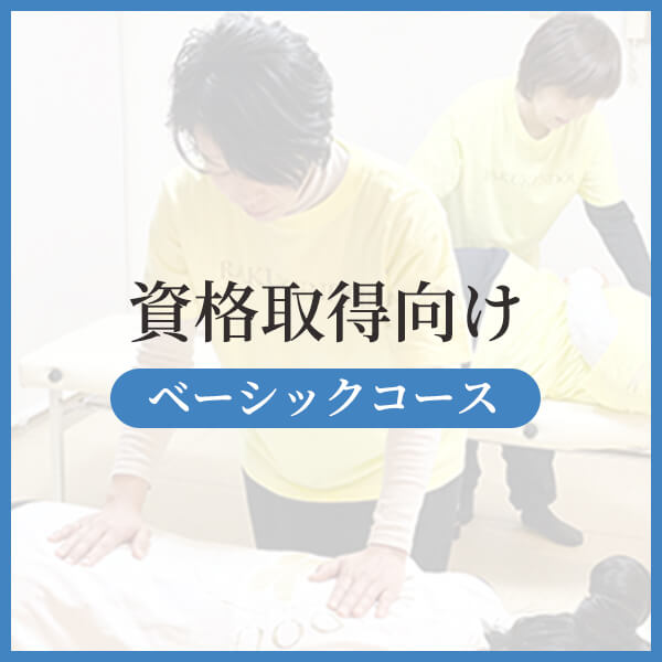 ベーシックコース資格取得向け入門コース