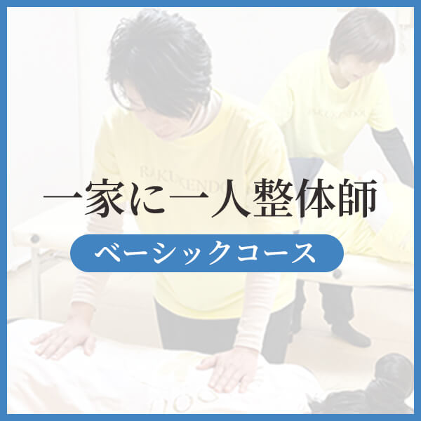 ベーシックコース資格取得向け入門コース